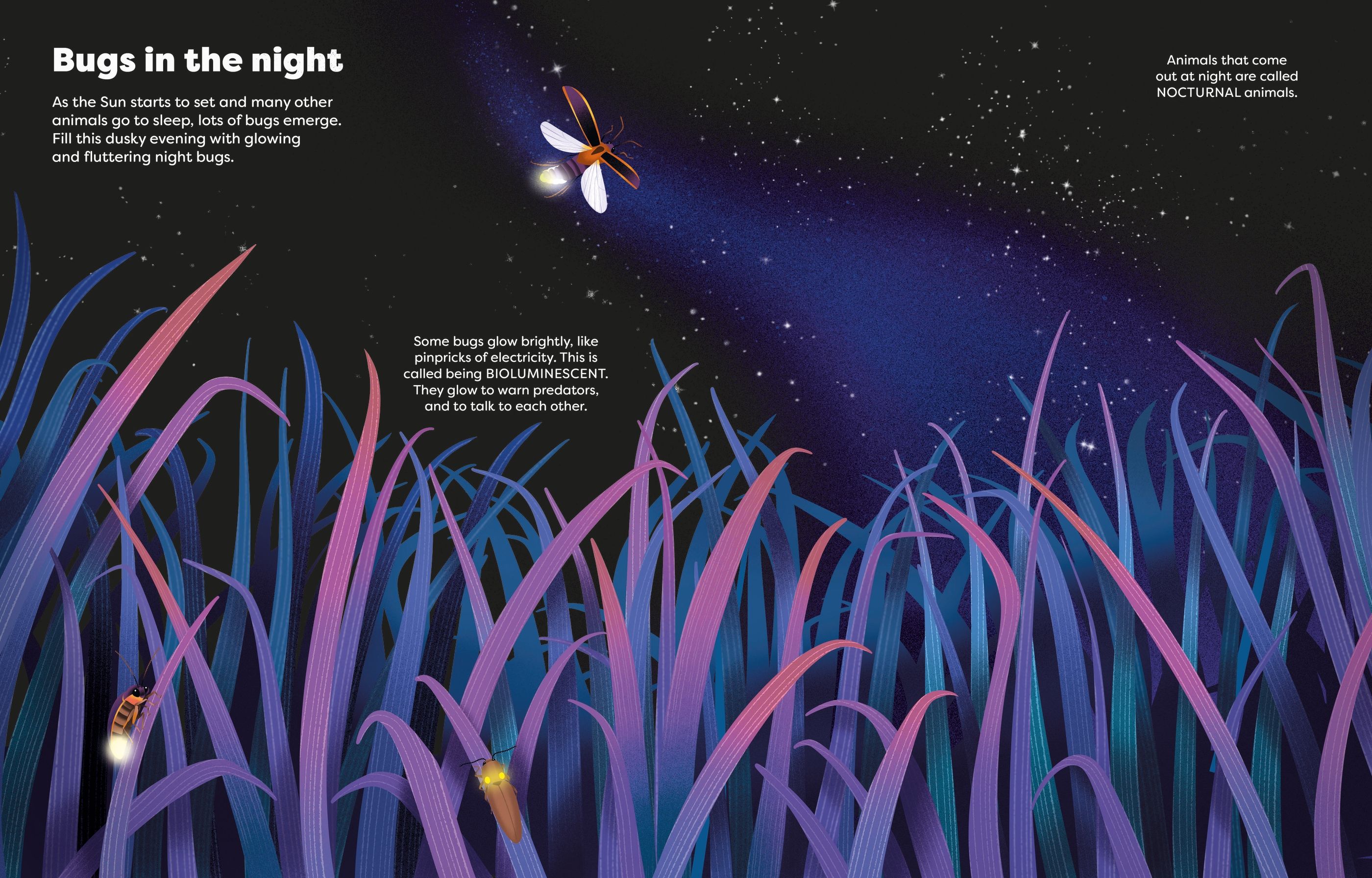 Big Sticker Book Bugs