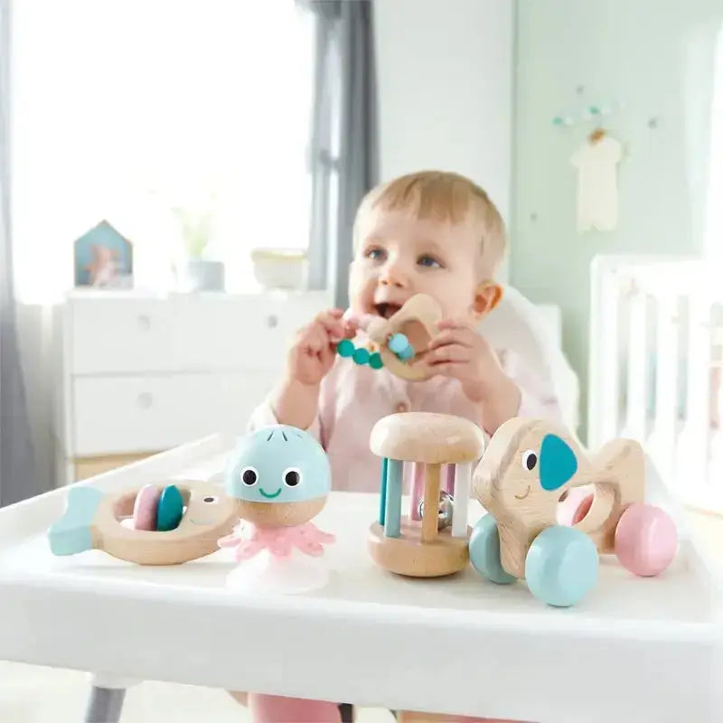Hape Wooden Multi-Stage Sensory 5 PCs Gift Set