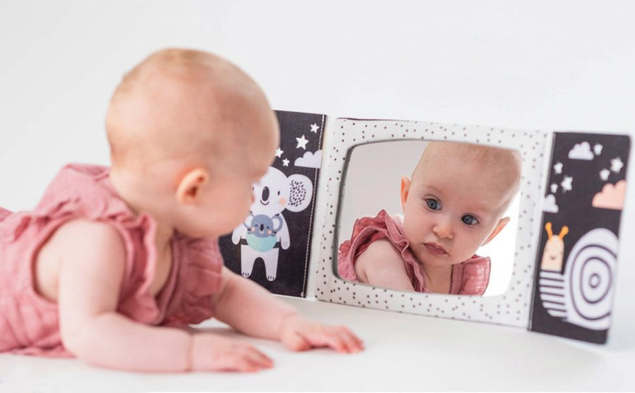 Taf Toys Tummy Time Mirror Book