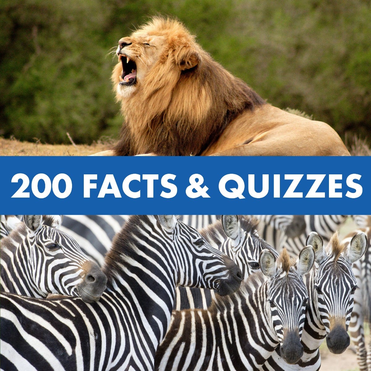 GeoSafari® Jr. Talking Wildlife Camera