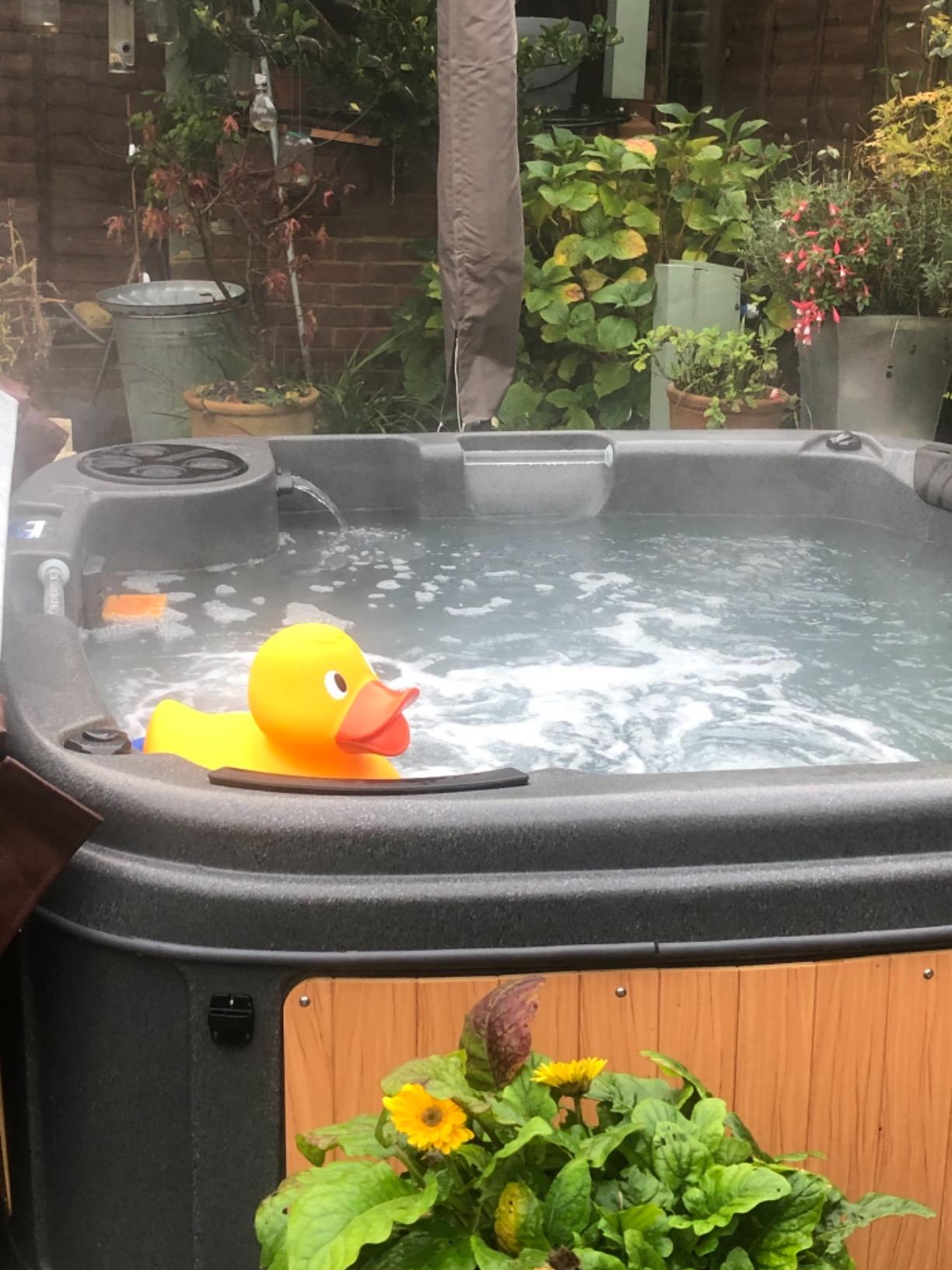 Giant Duck