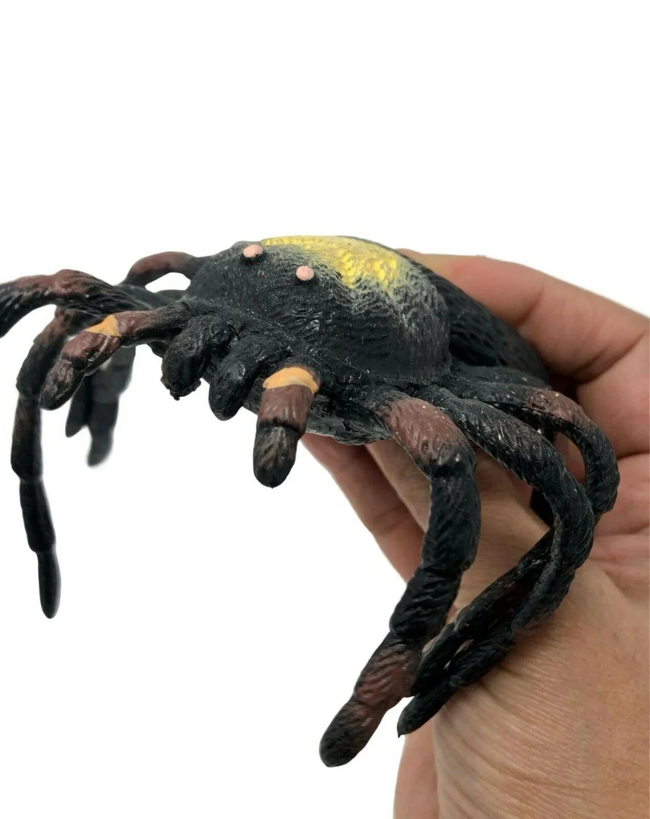 Tarantula Reptile Stretchies