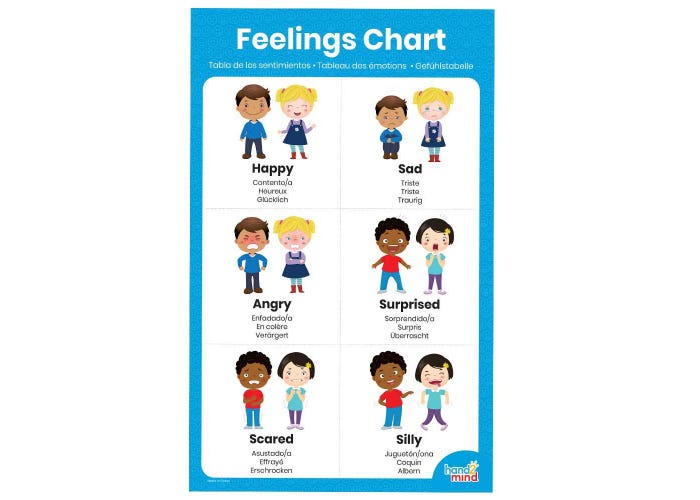Learn About Feelings Activity Set