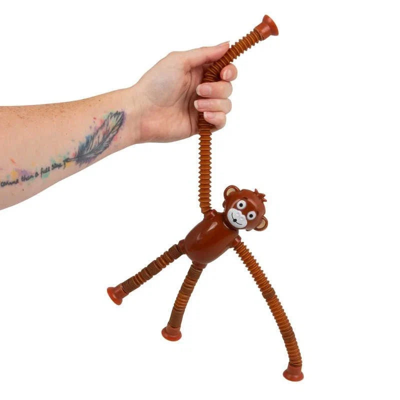 Animal Pop Tube