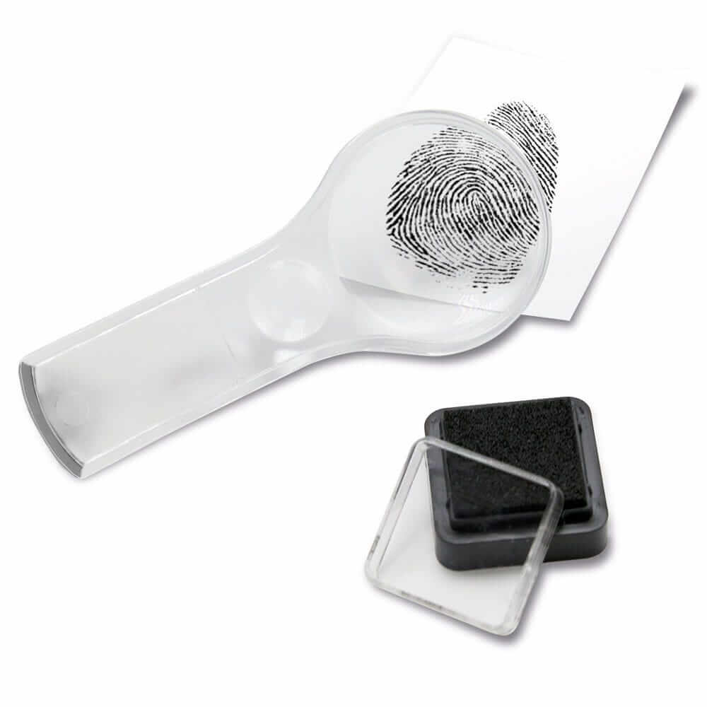 Learning Resources Head-to-Toe Human Body Science Lab