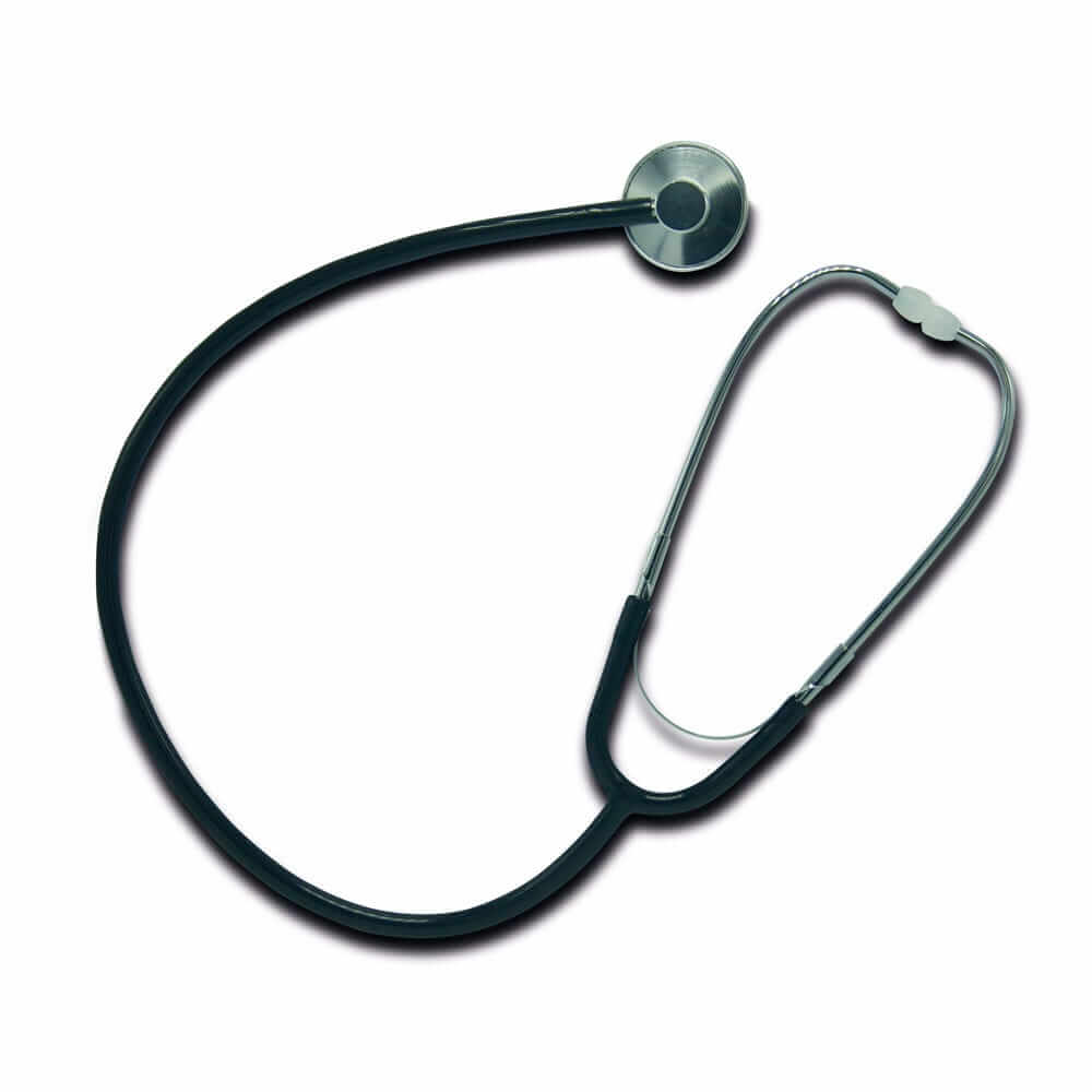 Learning Resources Head-to-Toe Human Body Science Lab