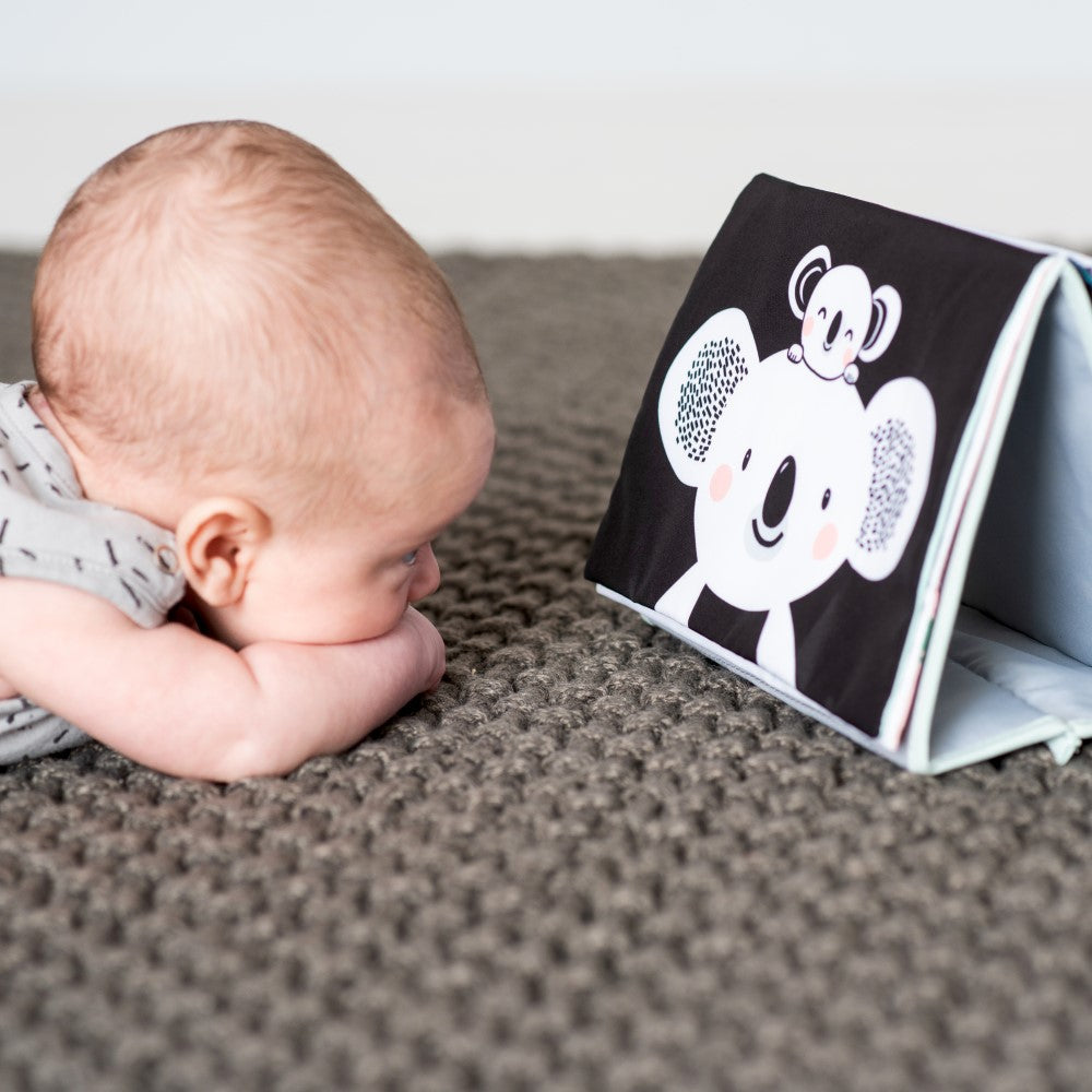 Taf Toys Kimmy Koala Tummy Time Book