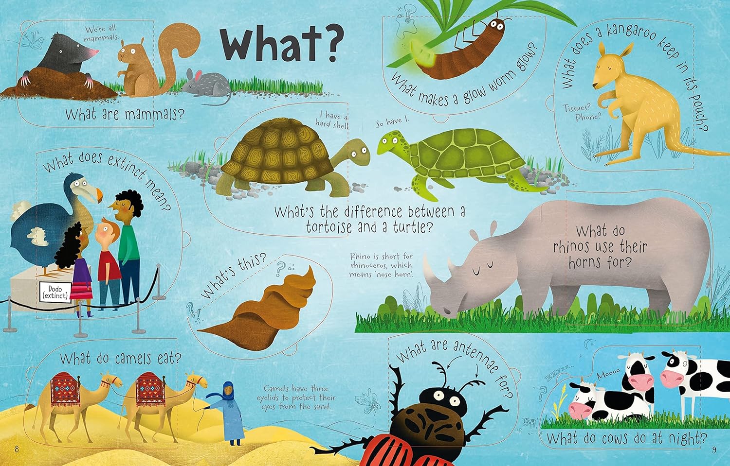 Questions and answers about animals