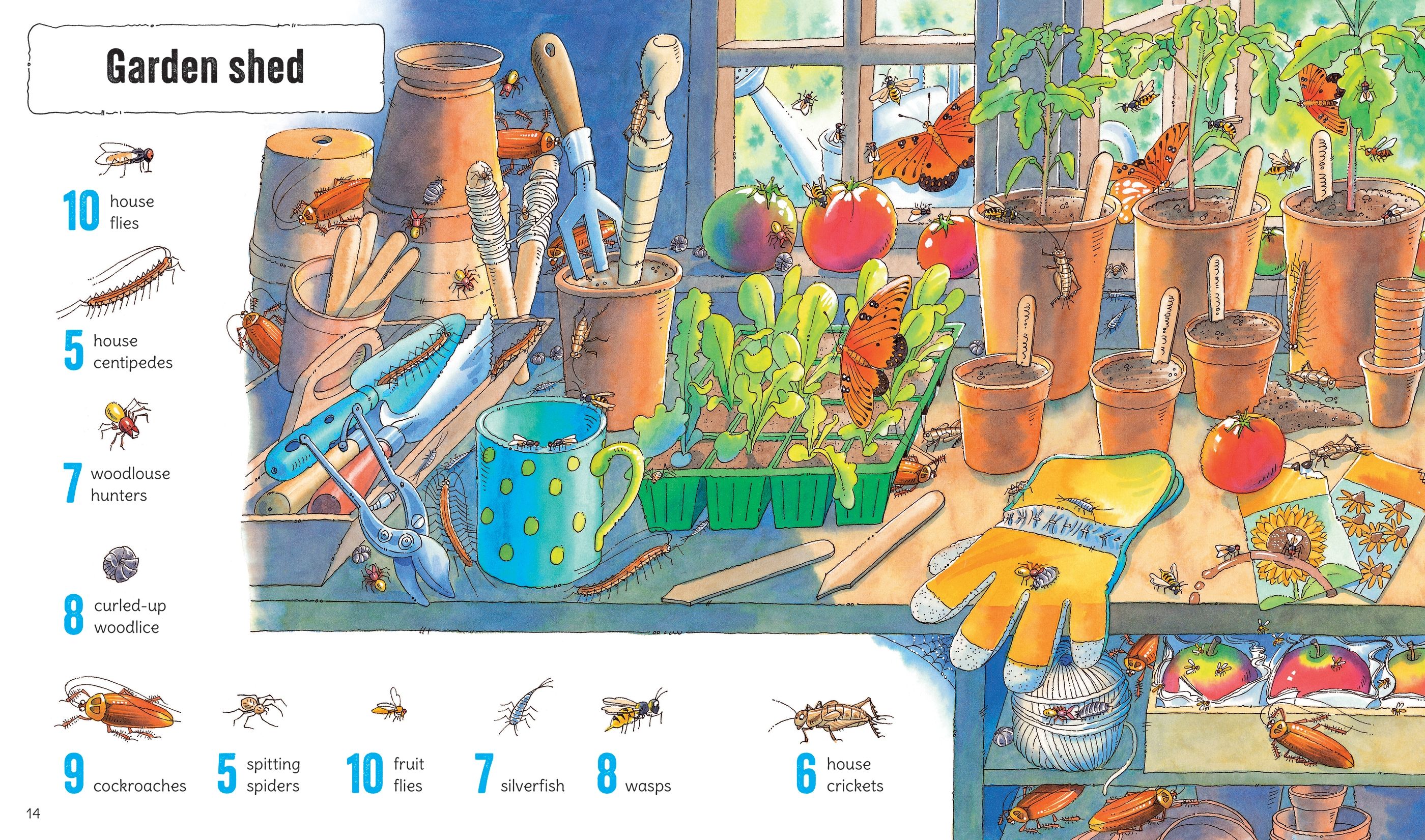 1001 Bugs to Spot