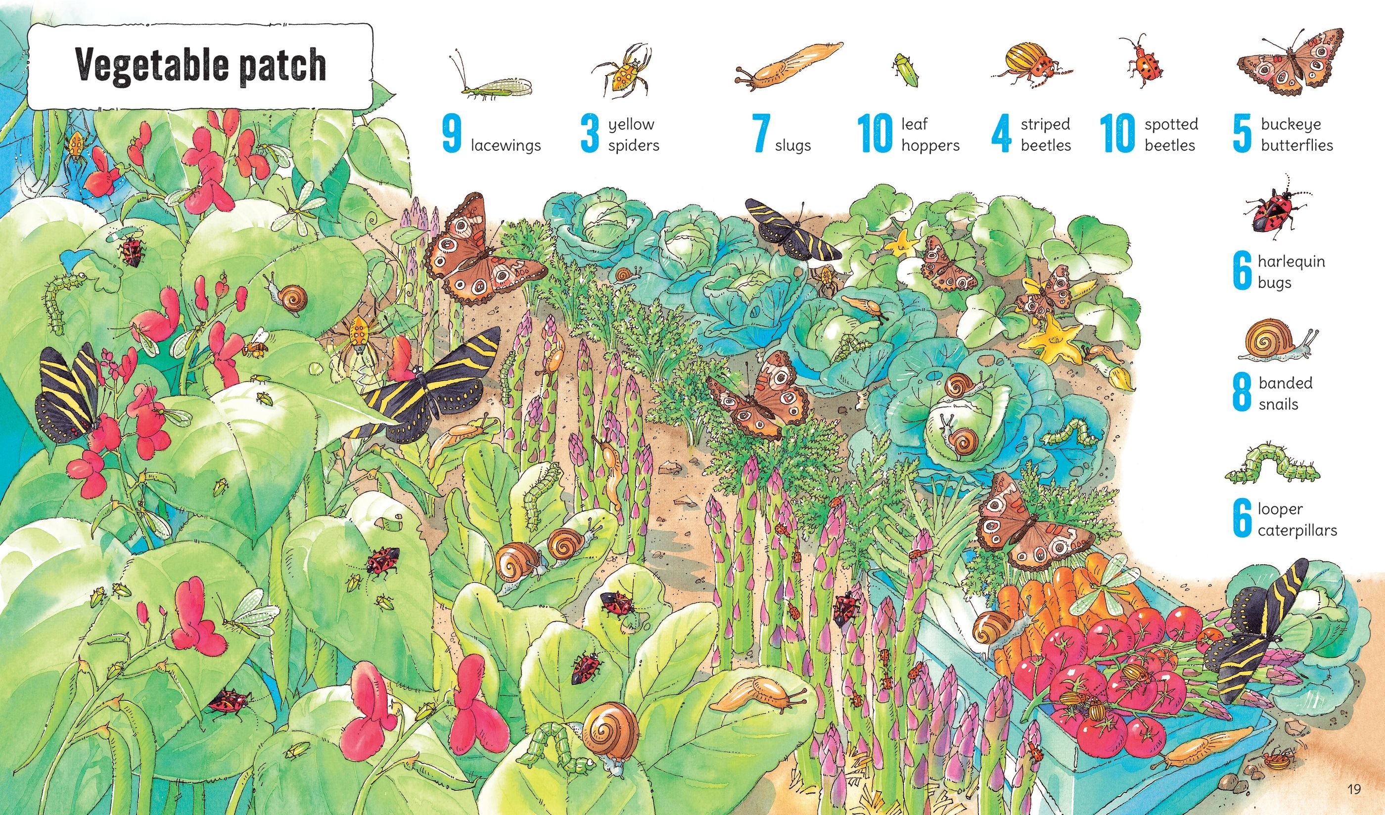 1001 Bugs to Spot