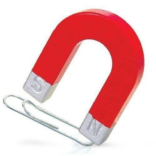 Horseshoe Magnet