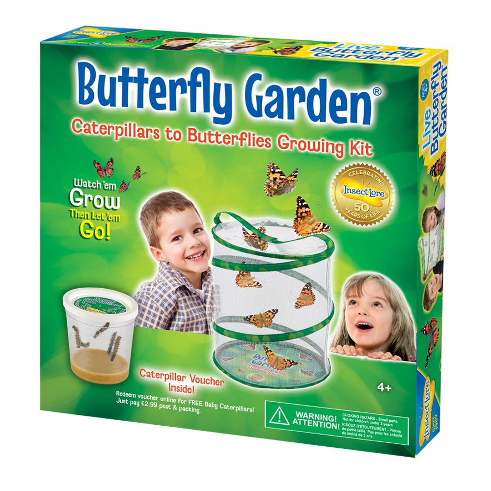 Butterfly Garden  (Caterpillars sent seperatley for 8.99)